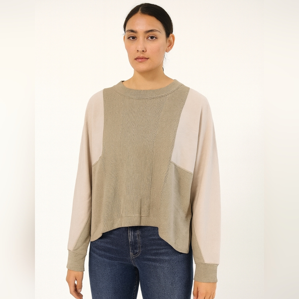 AnyBody Beige and Green Colorblock Pullover Athletic Sweatshirt Oversize XXS